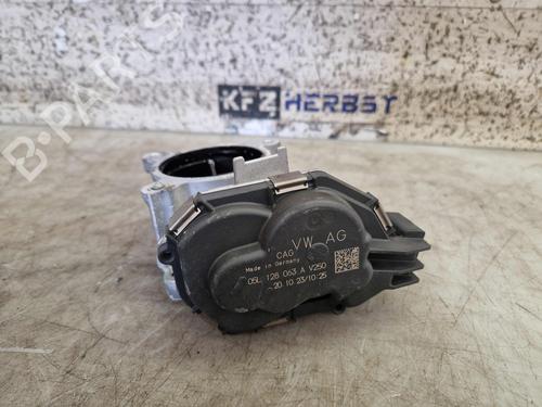 Throttle body VW GOLF VIII Variant (CG5, DB5) 2.0 TDI | BP30169136M82