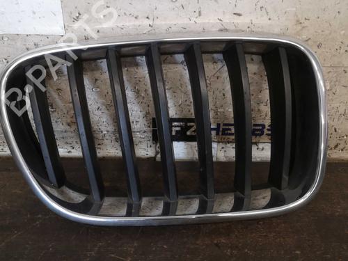 Used Grille BMW X3 (F25) xDrive 20 d (163 hp) 22290950