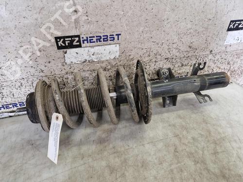 Dämpfer vorne links für VW TRANSPORTER T6 Platform/Chassis (SFD, SFE, SFL, SFZ, SJD, SJ 2.0 TDI (150 hp) 31802971