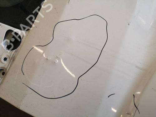 Left front door PEUGEOT BOXER Platform/Chassis 2.2 HDi 100 | BP20579143C2 