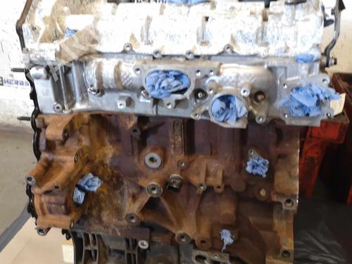 Used Engine FORD TRANSIT V363 Van (FCD, FDD) 2.0 EcoBlue RWD (130 hp) 22280862