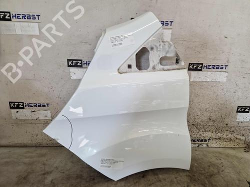 Used Left front fenders FORD TRANSIT CUSTOM V362 Van (FY, FZ) 2.0 EcoBlue (105 hp) 29853822