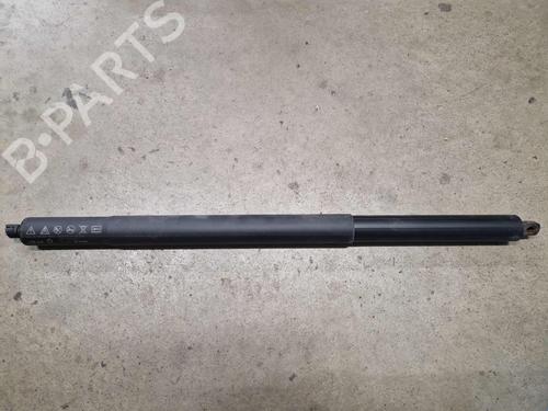 tailgate-lift-support-skoda-octavia-iv-combi-nx5-pv5-2019-32338333 main image