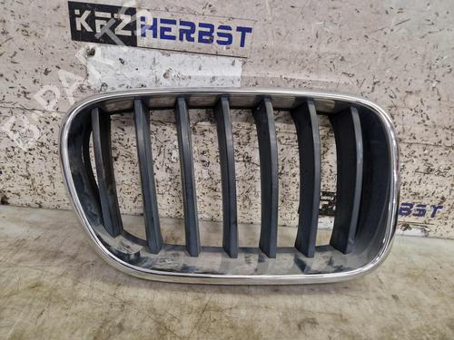 Used Grille Grille BMW X3 (F25) xDrive 20 d (163 hp) 33292434 33292434