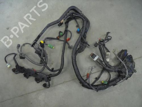 Ledningsnett FORD FIESTA VI (CB1, CCN) 1.6 TDCi (75 hp) 28362261
