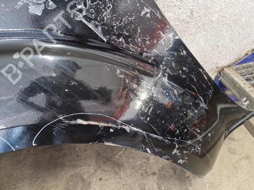Left front fenders NISSAN PATHFINDER III (R51) 2.5 dCi 4WD | BP28152300C41 