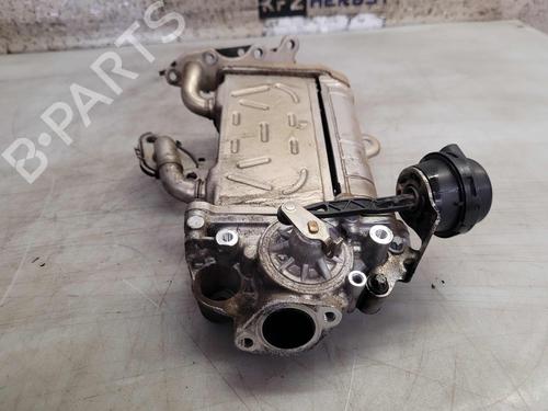 Egr MERCEDES-BENZ E-CLASS (W213) E 220 d (213.004) | BP24135573M69 