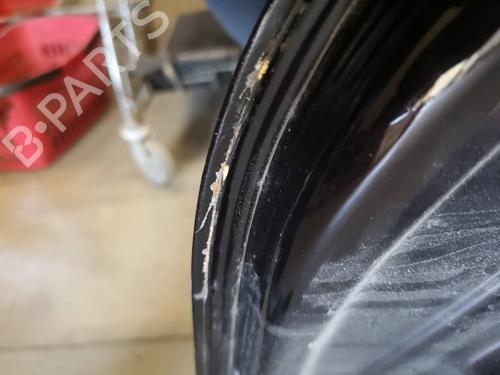 Left rear door FIAT BRAVO II (198_) 1.6 D Multijet (198AXH1B) | BP12893642C4 