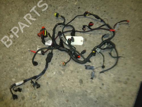 Used Wiring harness FIAT GRANDE PUNTO (199_) 1.4 (199AXB11, 199AXB1A, 199BXB1A, 199AXL1A) (77 hp) 24449246