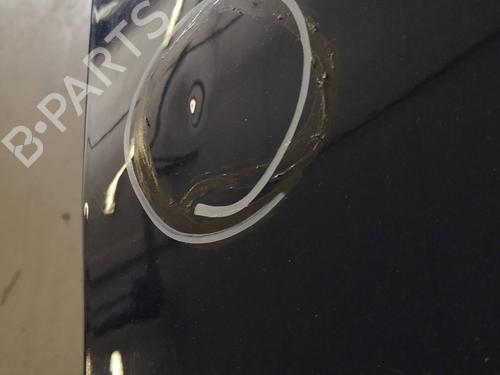 Left front door SKODA ROOMSTER (5J7) 1.2 | BP20496441C2 