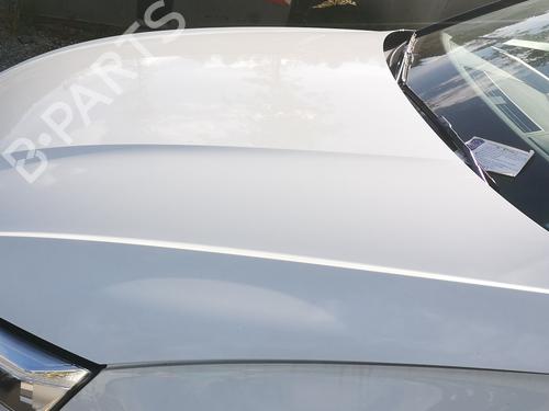 Hood AUDI A5 Sportback (F5A, F5F) 40 TFSI Mild Hybrid | BP29497500C1 