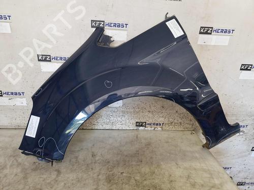 Used Left front fenders FORD GALAXY II (WA6) 2.0 TDCi (140 hp) 28362502