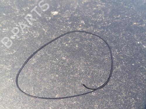 Motorhjelm FORD KUGA II (DM2) 1.5 TDCi | BP37068486C1 - Image 4