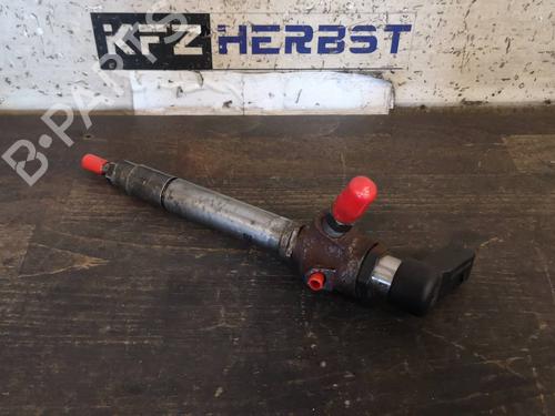 Used Injector LAND ROVER RANGE ROVER SPORT I (L320) 2.7 D 4x4 (190 hp) 12877891