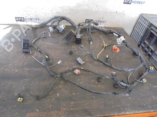Ledningsnet OPEL INSIGNIA A Sports Tourer (G09) 2.0 CDTI (35) (110 hp) 13442158