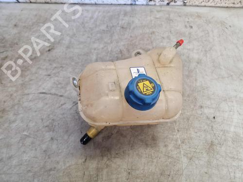 Used Expansion tank FIAT BRAVO II (198_) 1.4 T-Jet (198AXG1B) (120 hp) 29705329