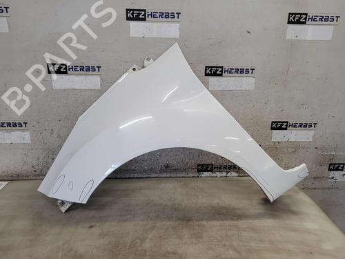 Used Left front fenders FORD FIESTA VI (CB1, CCN) 1.25 (82 hp) 24199977