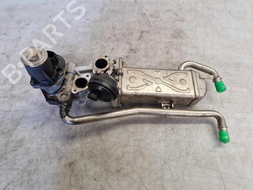 Used Egr SKODA FABIA II (542) 1.6 TDI (75 hp) 28605345