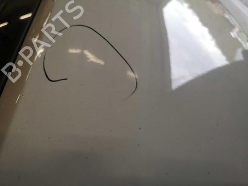 Tailgate FIAT GRANDE PUNTO (199_) 1.2 | BP22277448C6 
