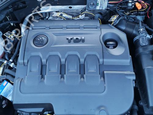 Motor für SKODA OCTAVIA III Combi (5E5, 5E6) 1.6 TDI (105 hp) 29899205