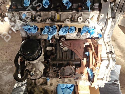 Used Engine Engine NISSAN NAVARA NP300 (D40) 2.5 dCi 4WD (174 hp) 33929615 33929615