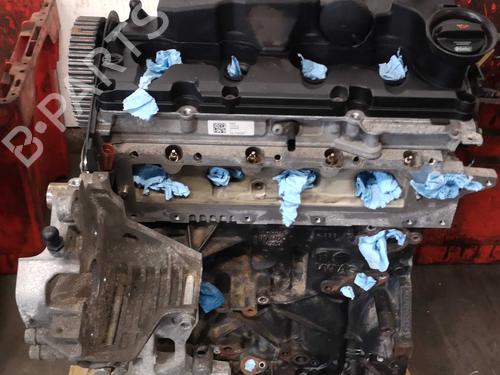 Motore VW GOLF VII (5G1, BQ1, BE1, BE2) 1.6 TDI (105 hp) 22286548