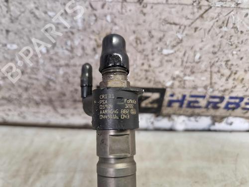 Injector LAND ROVER FREELANDER 2 (L359) 2.2 TD4 4x4 | BP25775993M100 