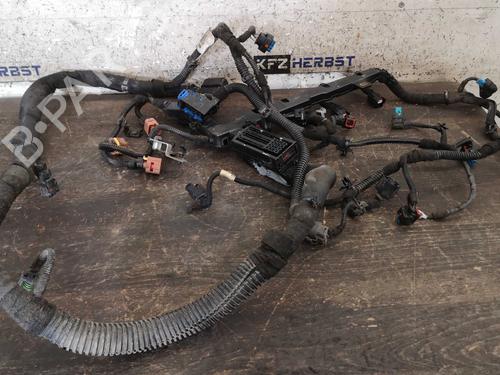 Wiring harness OPEL MERIVA B MPV (S10) 1.7 CDTI (75) | BP24923855E16 