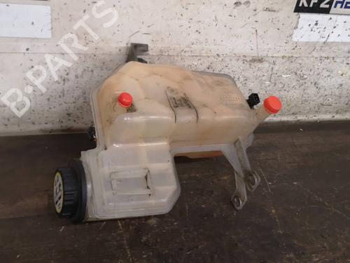 Used Expansion tank LAND ROVER RANGE ROVER SPORT I (L320) 2.7 D 4x4 (190 hp) 13064655