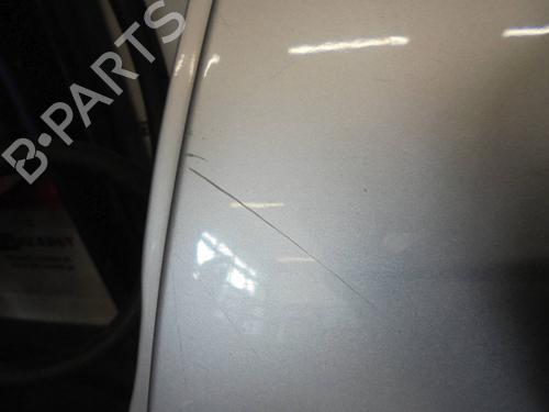Left rear door DACIA SANDERO 1.2 16V | BP12887989C4