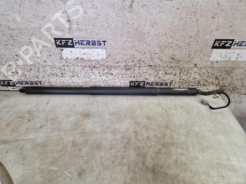 Used Tailgate lift support FORD GALAXY III (CK) 2.0 TDCi (150 hp) 31803006