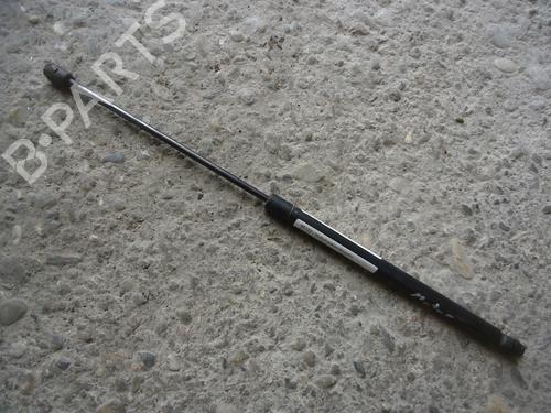 Used Hood lift support SEAT LEON (1M1) 1.4 16V (75 hp) 20092345