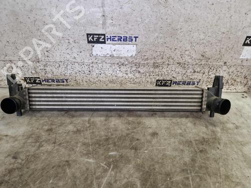 Used Intercooler Intercooler SKODA FABIA II (542) 1.6 TDI (75 hp) 33324042 33324042
