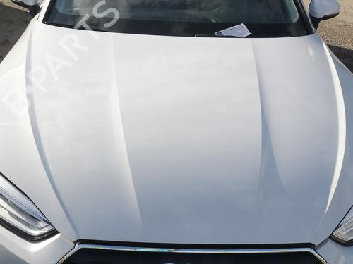 Used Hood AUDI A5 Sportback (F5A, F5F) 40 TFSI Mild Hybrid (190 hp) 29497500