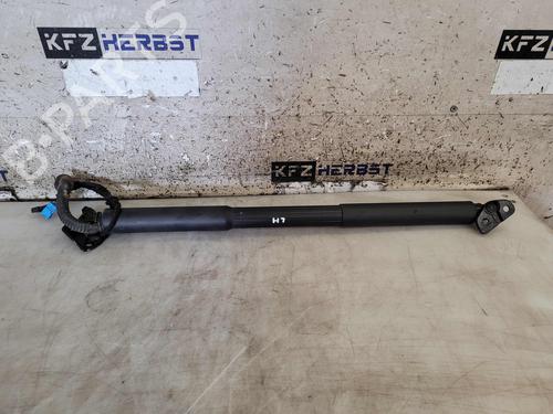 Used Tailgate lift support BMW 3 Touring (F31) 318 d (136 hp) 24950204