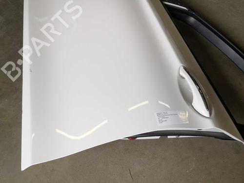 Left front door BMW 5 (F10) 520 d | BP20094505C2 