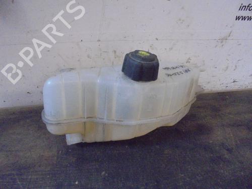 Used Expansion tank RENAULT CLIO III (BR0/1, CR0/1) 1.2 16V (BR0P, CR0P) (101 hp) 13061525