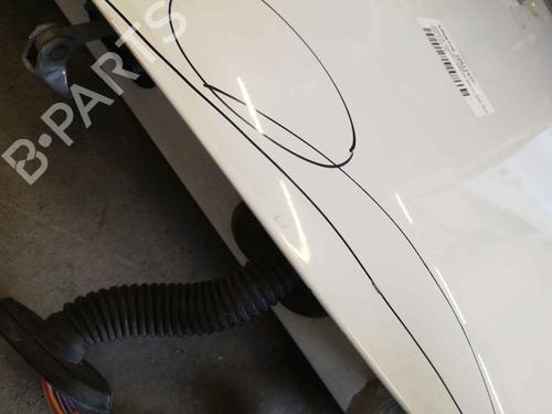 Left front door RENAULT MASTER III Platform/Chassis (EV, HV, UV) 2.3 dCi 125 FWD (EV0C, EV0D, EV0J, HV0C, HV0D, HV0H,... | BP12894778C2 