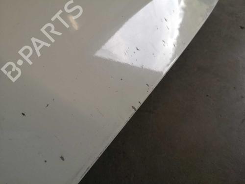 Tailgate FIAT GRANDE PUNTO (199_) 1.2 | BP22277448C6 