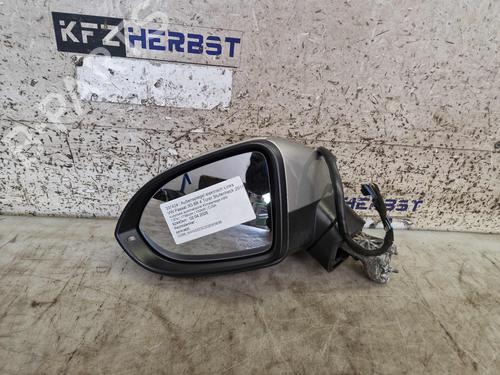 Retrovisor esquerdo Retrovisor esquerdo VW PASSAT B8 Variant (3G5, CB5) 1.8 TSI (180 hp) 33874007 33874007
