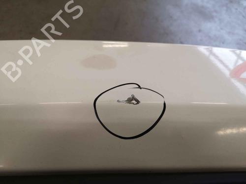Left front door FIAT QUBO (225_) 1.3 D Multijet (225AXE1A, 225CXE1A, 225AXH1A, 225AXL1A,... | BP20139023C2 