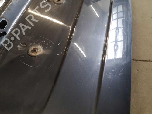 Tailgate FORD C-MAX (DM2) 1.6 TDCi | BP22284234C6 