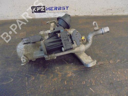 Egr FORD FOCUS III Turnier 1.6 TDCi (115 hp) 13431057