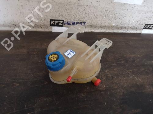 Used Expansion tank FIAT GRANDE PUNTO (199_) 1.4 (199AXB1A) (75 hp) 13438737