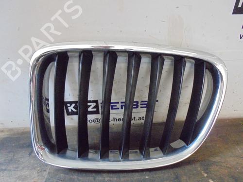 Grill/Gitter BMW X1 (E84) xDrive 18 d (143 hp) Links Niere