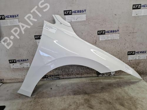 Used Right front fenders VW GOLF VIII Variant (CG5, DB5) 2.0 TDI (116 hp) 30062821