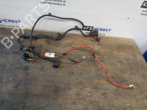 Cablaggio Cablaggio VW PASSAT B8 Variant (3G5, CB5) 1.6 TDI (120 hp) 34139551 34139551