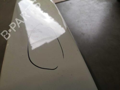 Tailgate FIAT GRANDE PUNTO (199_) 1.2 | BP22277448C6 