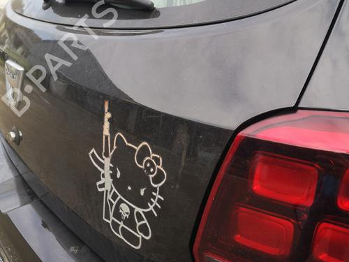 Tailgate DACIA SANDERO II TCe 90 (B8M1, B8MA, B8AC) | BP29824018C6 
