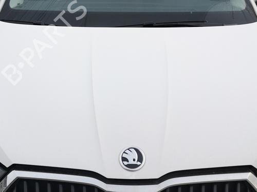 Used Hood SKODA FABIA IV (PJ3) 1.0 MPI (65 hp) 32296126
